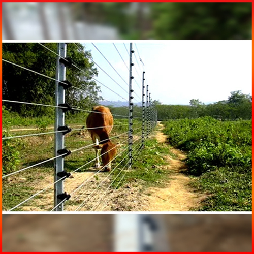 Solar Agriculture Fencing